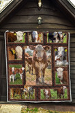 Hereford Calves , Cattle Quilt Blanket Great Customized Blanket Gifts For Birthday Christmas Thanksgiving