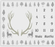 Deer Antler Monthly Milestone Blanket, Newborn Blanket, Baby Shower Gift Grow Chart Monthly