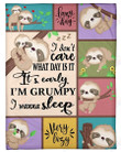 Sloth I Don't Care What Day Is It Fleece Blanket Great Customized Gifts For Birthday Christmas Thanksgiving