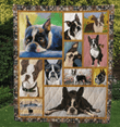 Cute Dogs Dogs Square Art Sad Boston Terrier Quilt Blanket Great Customized Blanket Gifts For Birthday Christmas Thanksgiving