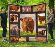 Beefmaster Cow Quilt Blanket Great Customized Blanket Gifts For Birthday Christmas Thanksgiving