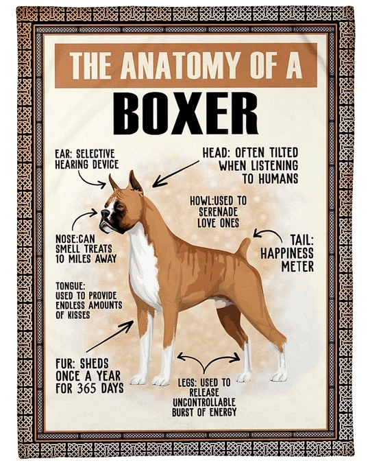 Boxer Dog The Anatomy Of A Boxer Sherpa Fleece Blanket