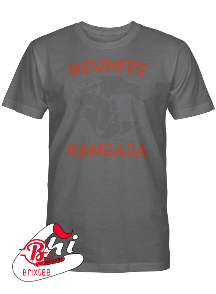 Reunite Pangea Shirt Pangaea Shirt Geography Dinosaur Tee