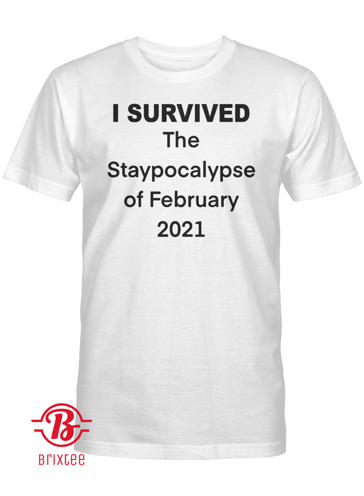 I Survived The Staypocalypse of February 2021 Shirt