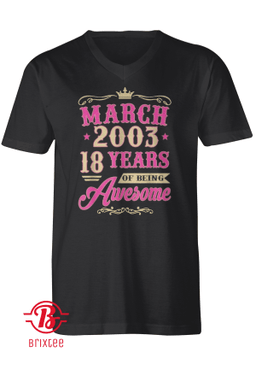 Vintage March 2003 18th Birthday Gift Being Awesome Tee