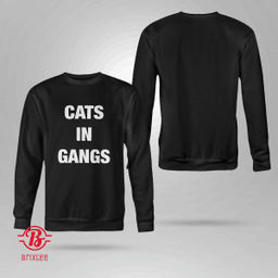 Cats In Gangs