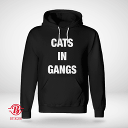 Cats In Gangs