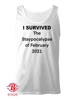 I Survived The Staypocalypse of February 2021