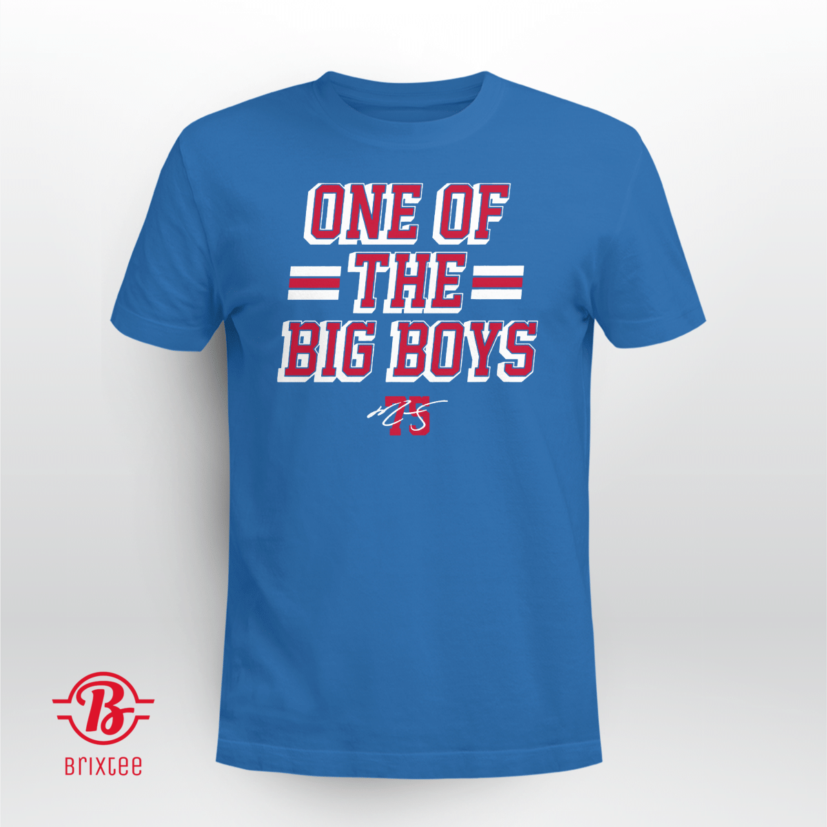 Ryan Reaves: One Of The Big Boys | New York Rangers