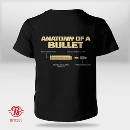 Anatomy Of Bullet