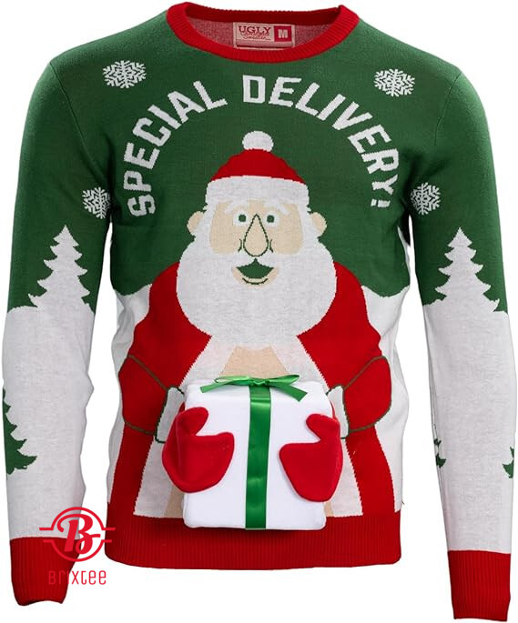 Special Delivery Santa Claus3D Gift