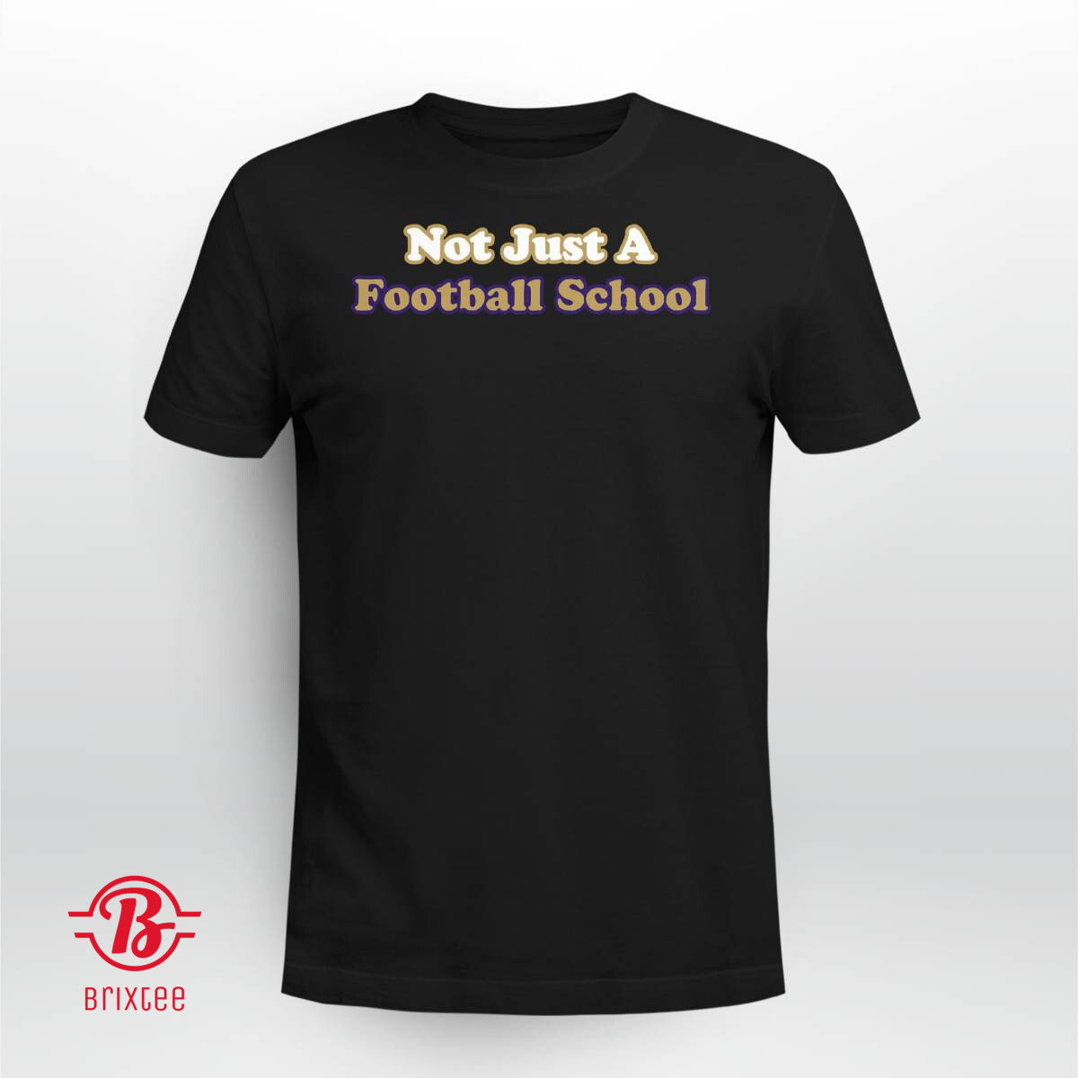 JMU football Not Just A Football School