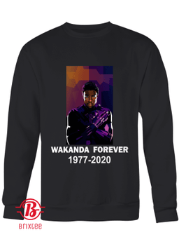 Chadwick Boseman Wakanda Forever 1977 - 2020