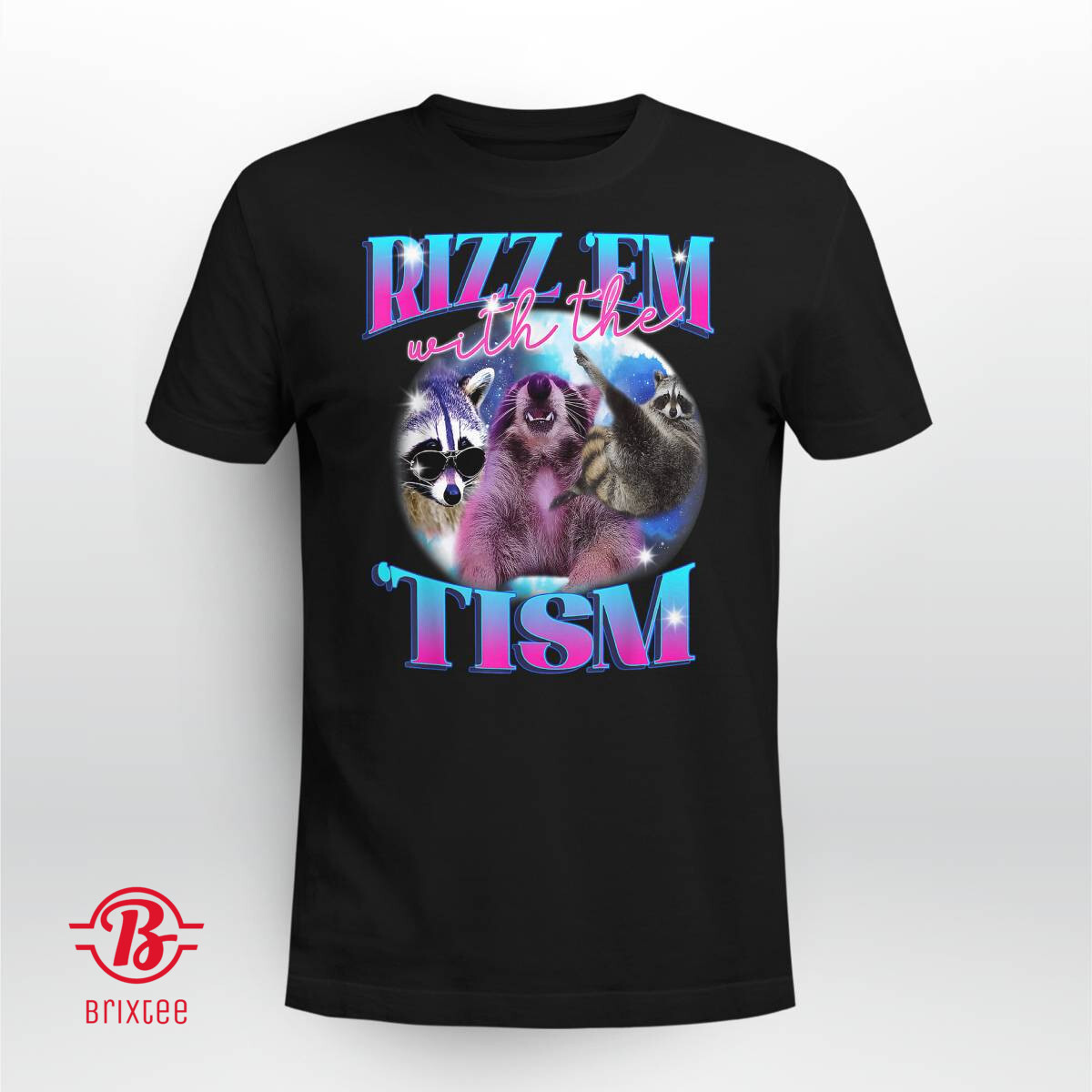 Autism Funny Rizz Em With The Tism Meme Autistic Opossum