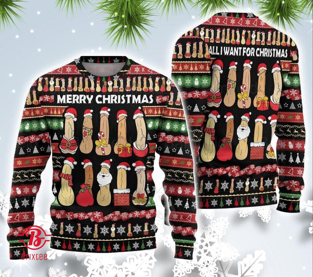 Inappropriate Christmas Sweaters Dirty