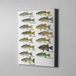 Freshwater Bass Fishing Canvas Print Frames Canvas Print Frames Painting