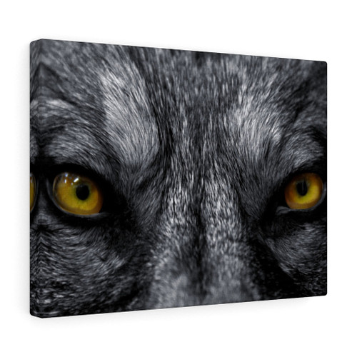 Wolf Eye Wall Inspirational Printed On Ready To Hang Stretched Canvas Wall Art Framed Prints, Canvas Paintings