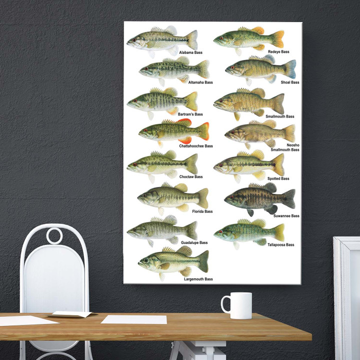 Freshwater Bass Fishing Canvas Print Frames Canvas Print Frames Painting  Aeticon Wrapped Canvas 8x10in
