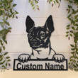 Personalized American Hairless Terrier Dog Metal Sign Art Custom American Hairless Terrier Dog Metal Sign Dog Gift Animal Funny