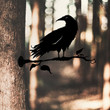 Black Crow Metal Sign Black Raven Sign Outdoor Decor Branch Topper Sign Tree Hanger Unique Decor Sign for Entry Road Garden Art