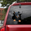 Doberman Crack Sticker Album Cuteness Overloaded Vehicle Decals , Performance Car Stickers 12x12IN 2PCS