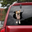 Chinese Crested Crack Head Decal Pretty Cute Laptop Decals Good , Flame Stickers For Car 12x12IN 2PCS