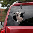 Chinese Crested Crack Sticker Door Cute Window Decals Gifts For Dogs, P Plate Sticker 12x12IN 2PCS