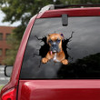 Boxer Crack Sticker For Back Window Wiper Funny Birthday Memes Removable Stickers Christmas, Auto Decal Shop Near Me 12x12IN 2PCS