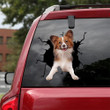 Papillon Dog Crack Sticker Kawaii Lovely Transfer Decal Stickers , Custom Window Clings For Cars 12x12IN 2PCS
