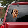 Cavoodle Crack Sticker For Car Window Funny Wall Decor Big Stickers Best Gifts, In Loving Memory Car Decals 12x12IN 2PCS