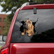 Bloodhound Crack Sticker Custom Humor Stickers Para Carros , Car Sticker Wrap 12x12IN 2PCS