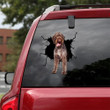 German Wirehaired Pointers Crack Sticker For Car Window Cool Custom Made Stickers, Cool Car Stickers 12x12IN 2PCS