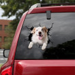 Border Collie Crack Sticker Car Cool Waterproof Sticker Paper Gifts For Friends, Black Flag Car Decal 12x12IN 2PCS