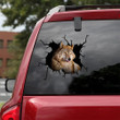 Wolf Crack Dad Decal Lovable Clear Labels , Back Off Bumper Humper 12x12IN 2PCS