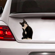 Tuxedo Cat Crack Decal For Car Window Likeable Dot Stickers Gifts For Nurses, Harley Davidson Stickers For Cars 12x12IN 2PCS