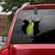 Parrot Crack Decal For Boat Cuteness Overloaded Custom Made Stickers Push Gift, Unique Car Decals 12x12IN 2PCS