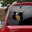 Parrot Crack Decal For Boat Corny Jokes Computer Decal Stickers Gifts For Women, Sticker On Car Window 12x12IN 2PCS