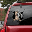 Great Dane Crack Decals For Walls Funny Faces Decal Stickers Gifts For Grandpa, Car Transfer Stickers 12x12IN 2PCS