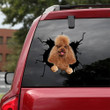 Poodle Crack Sticker For Car Kawaii Laptop Decals Big Teddy Bear, Batman Window Decal 12x12IN 2PCS