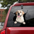Labrador Crack Sticker Kawaii Lovable Custom Decal Stickers Gifts, Vinyl Graphics For Cars 12x12IN 2PCS