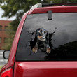 Dachshund Crack Sticker For Car Pretty Cute Custom Made Stickers Gifts For Grandpa, Shitbox Edition Decal 12x12IN 2PCS