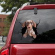 Dachshund Crack Sticker Kawaii You Cute Kiss Cut Stickers , Car Sticker Name Design 12x12IN 2PCS