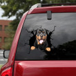 Rottweiler Crack Decals For Cars Cute A Custom Made Stickers , Yoda Car Decal 12x12IN 2PCS