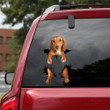 Dachshund Crack Decal Car Funny Memes Sticker Maker, Car Number Stickers 12x12IN 2PCS