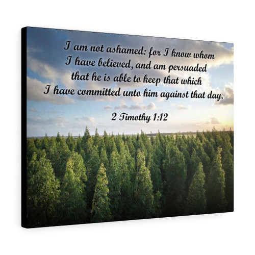 Scripture Canvas Not Ashamed 2 Timothy 1:12 Christian Wall Art Bible Verse Meaningful Home Decor Gifts Unique Housewarming Gift Ideas Framed Prints, Canvas Paintings