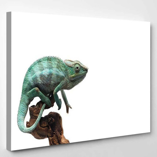 Blue Lizard Panther Chameleon Isolated On 2 Black Panther Animals Luxury Multi Canvas Prints, Multi Piece Panel Canvas Gallery Art Print Print