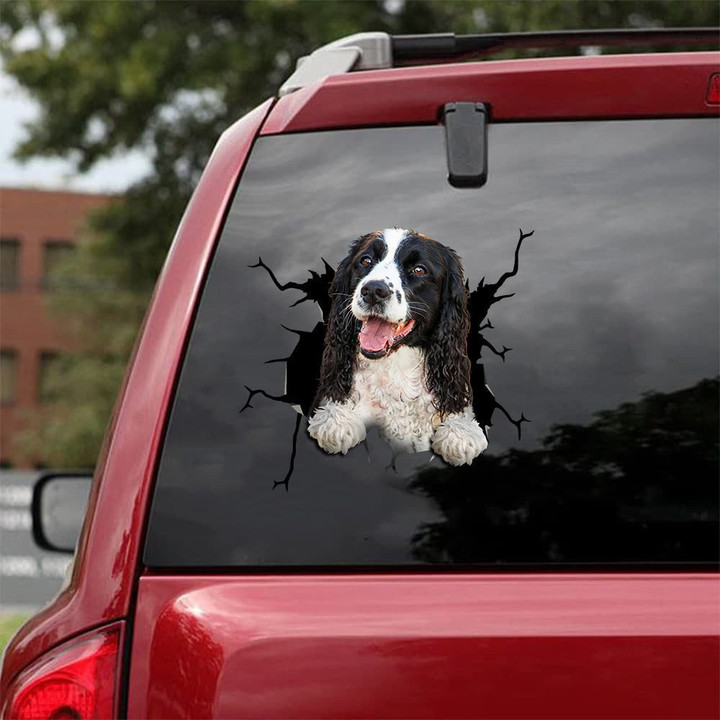 English Springer Spaniel Crack Head Decal Funny Quotes Face Stickers Birthday For Mom, Alien Car Decal 12x12IN 2PCS