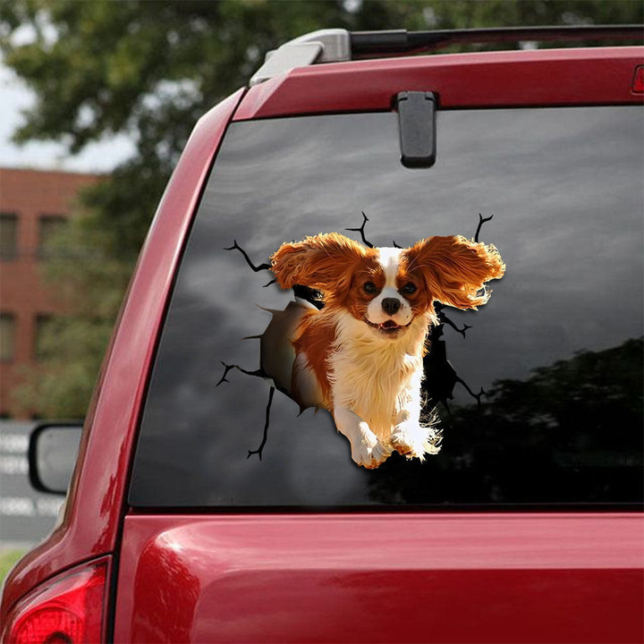 Cavalier King Charles Spaniel Crack Sticker Chart Hot Outdoor Stickers Best Subscription Boxes, Vinyl Car Decals Near Me 12x12IN 2PCS