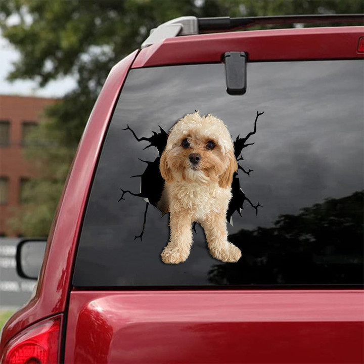 Cavapoo Crack Decals Cute A Small Decal Stickers Gifts For Men, Irish Car Stickers 12x12IN 2PCS