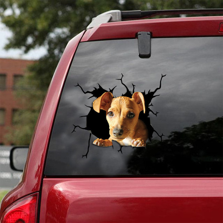 Chiweenie Crack Sticker For Car Window You Cute Vinyl Stickers For Cars Teacher Gifts, Transformers Car Decal 12x12IN 2PCS